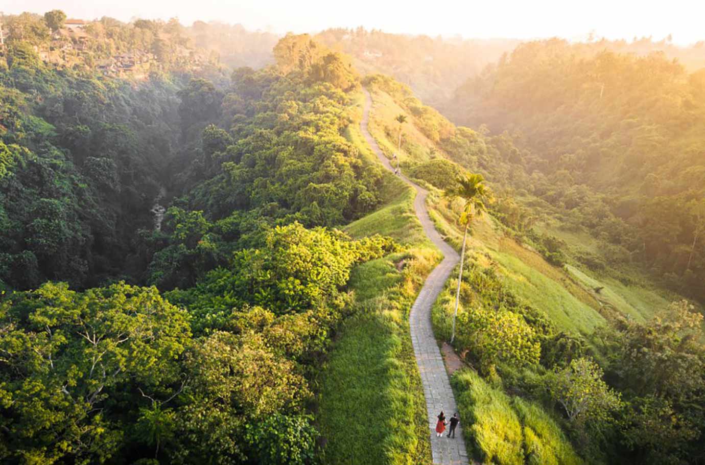 Aerial view of Campuhan Ridge Walk Trail