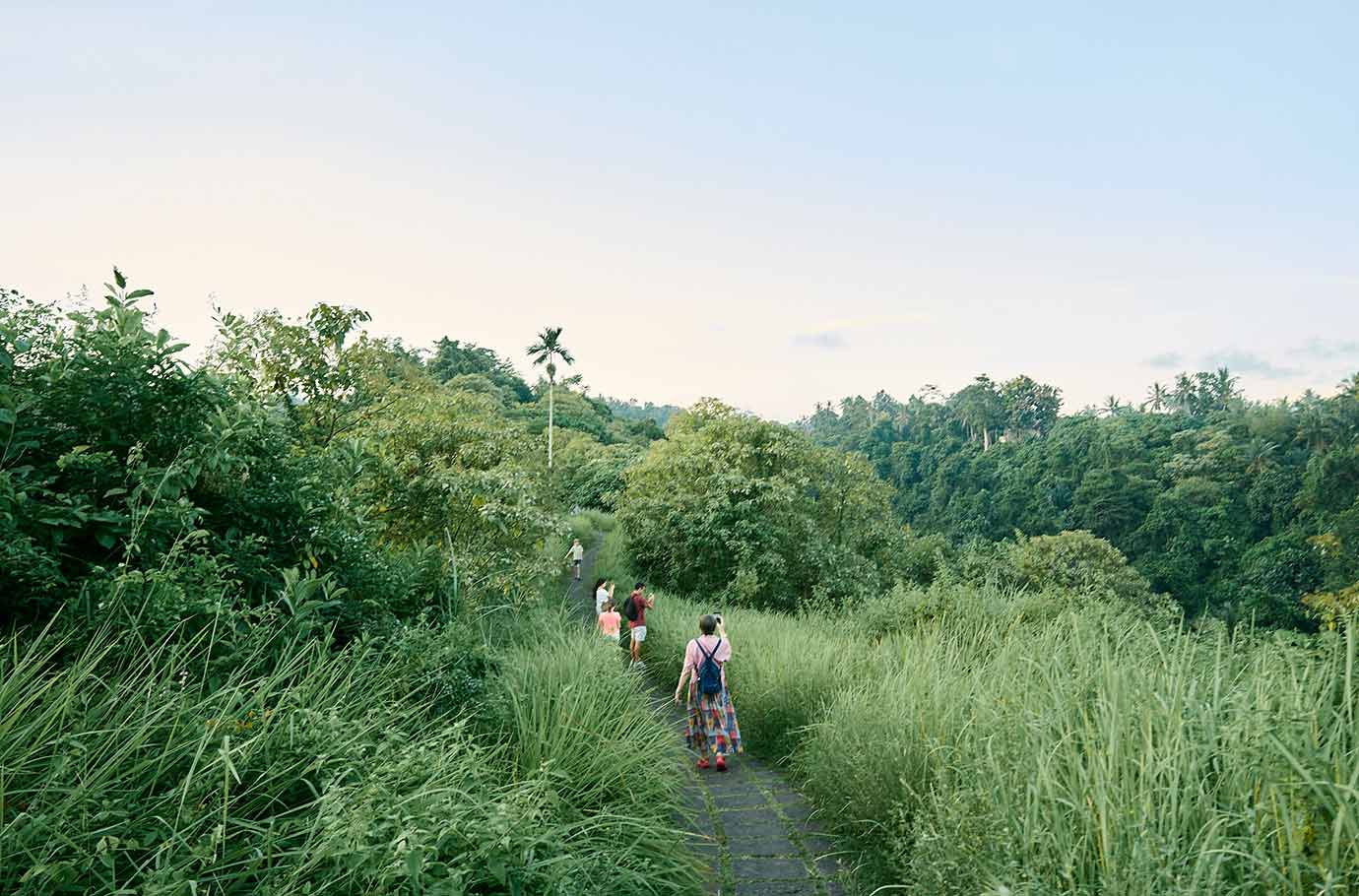 Tourists on Campuhan Ridge Walk Trail