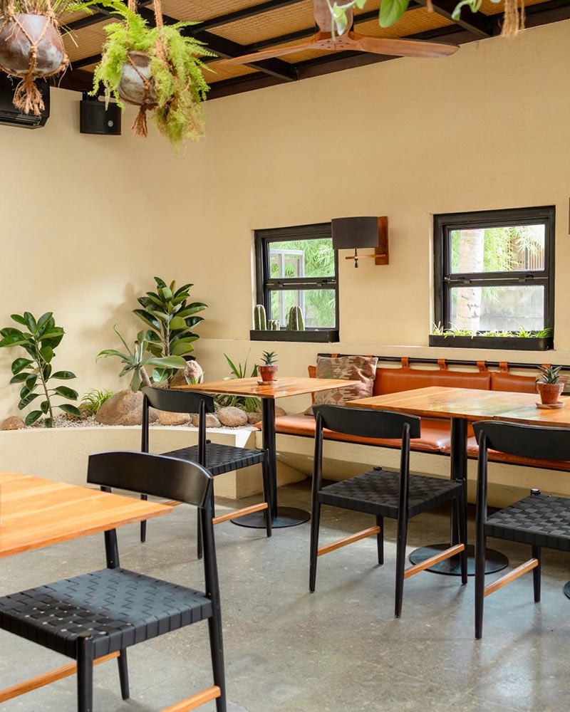 Plants in the corner of Jalapeno Canggu