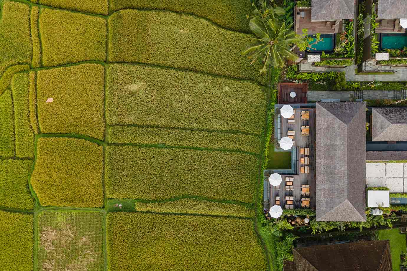 Aerial view of Kokokan restaurant