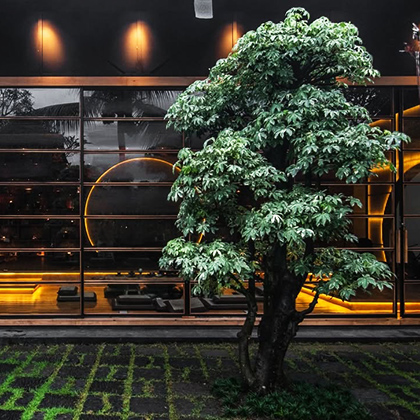 Square Preview of Zest Cafe in Ubud, Bali