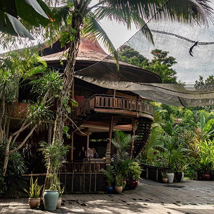 Square Preview of the Yoga Barn Ubud