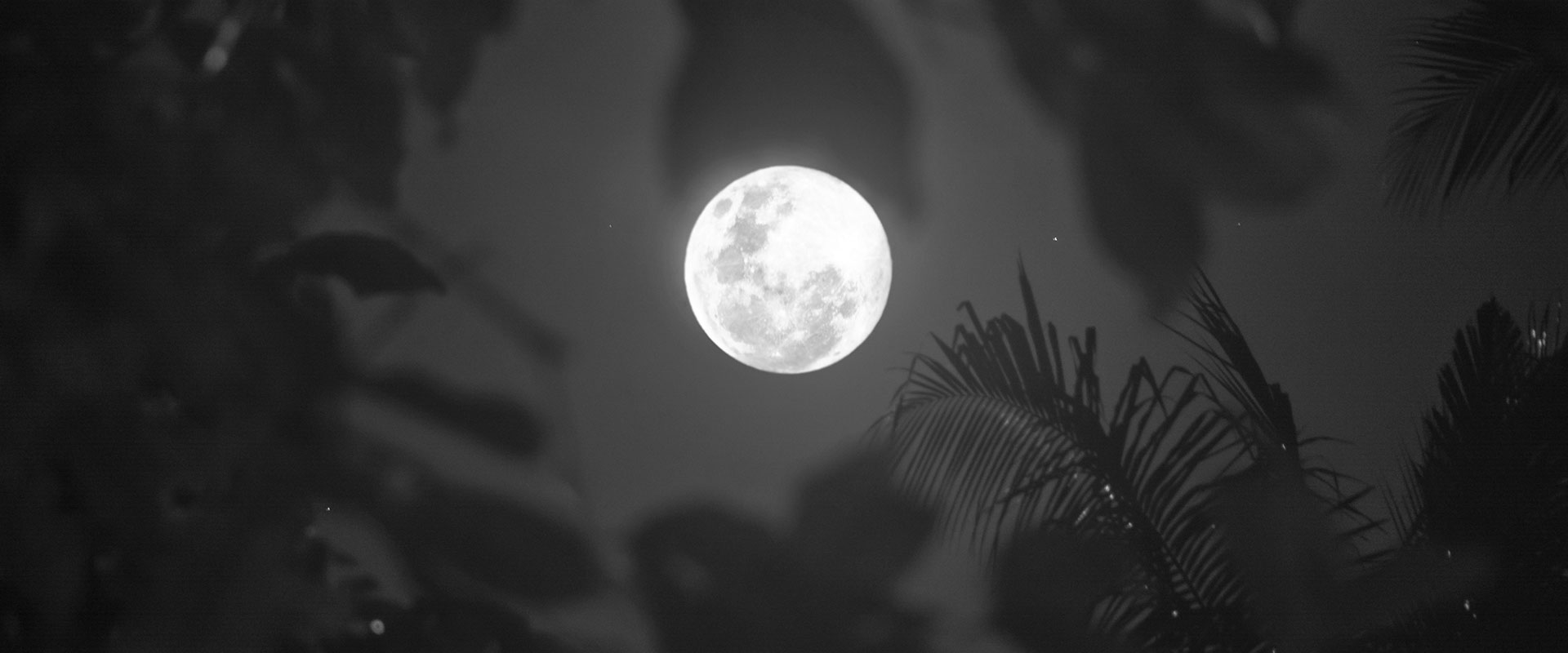 Background of Full Moon at Savaya