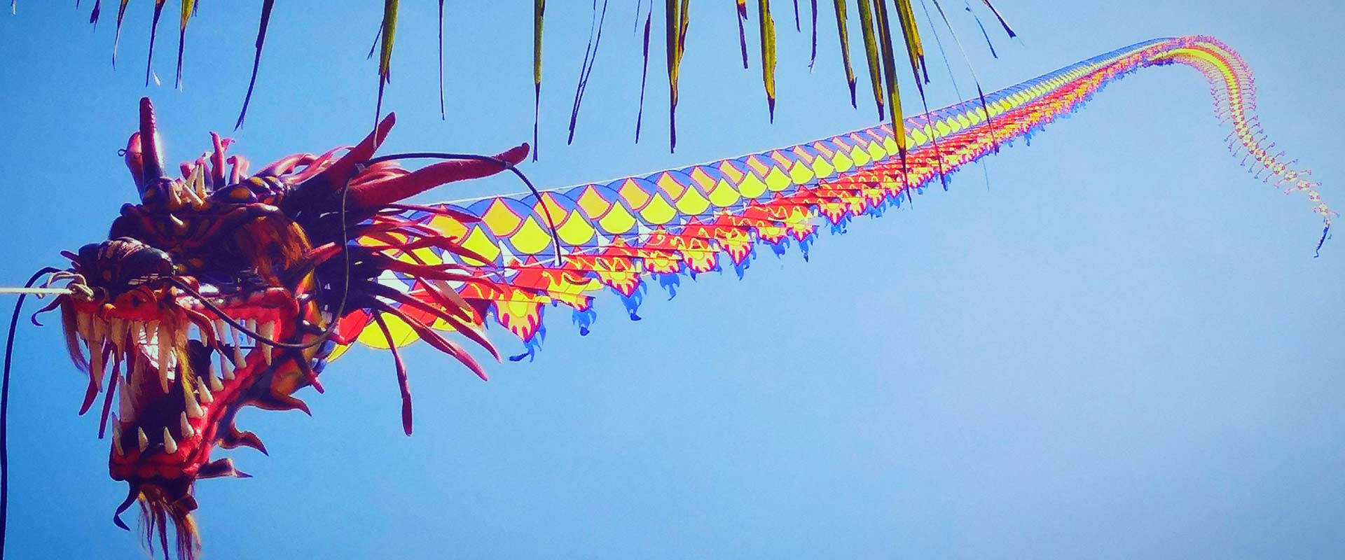 Background for Bali Kite Festival