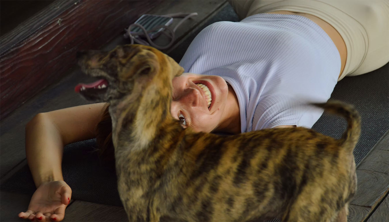 Colorful dog from Puppy Yoga Morning