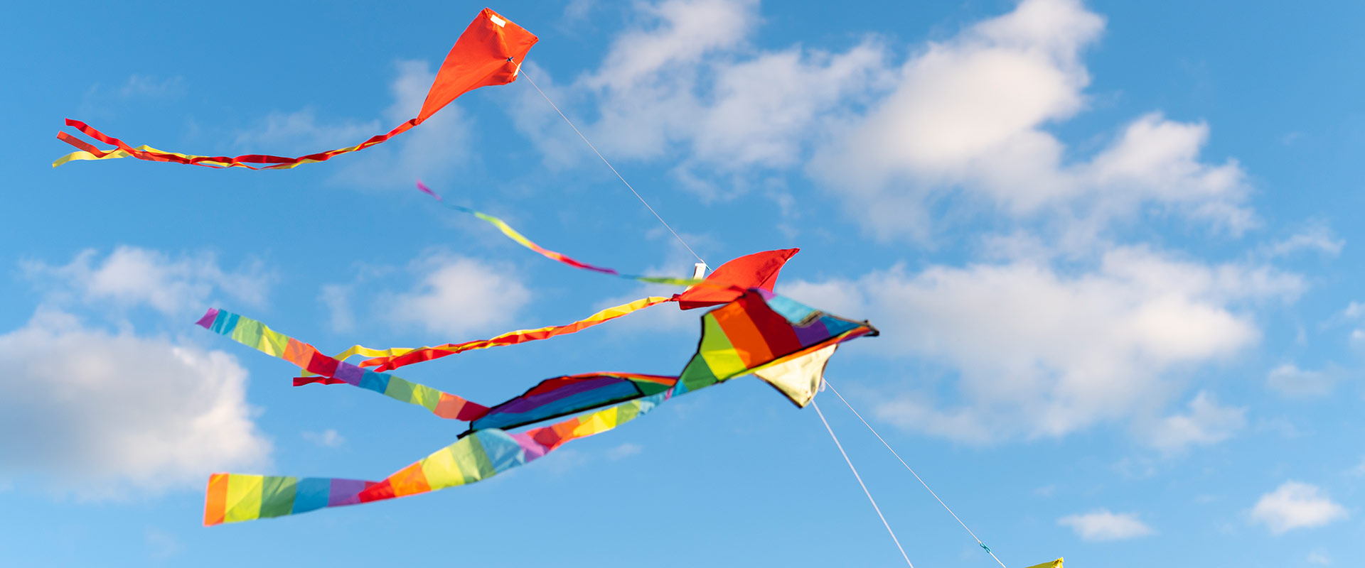 Background of Soekarno Kite Festival