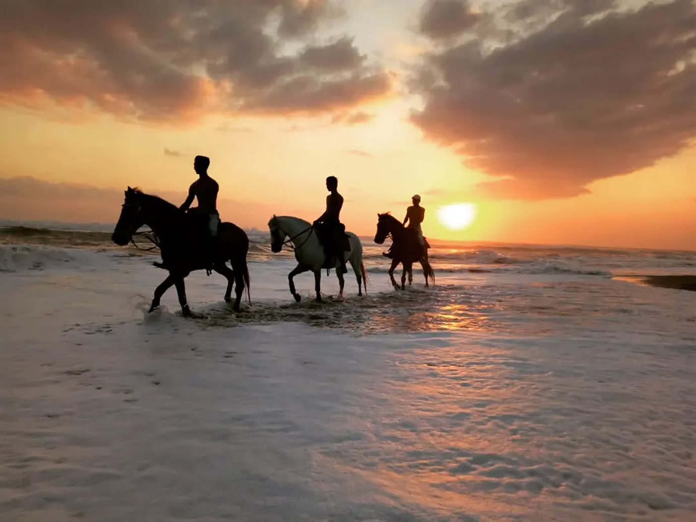 Sunset horse riding along the beach