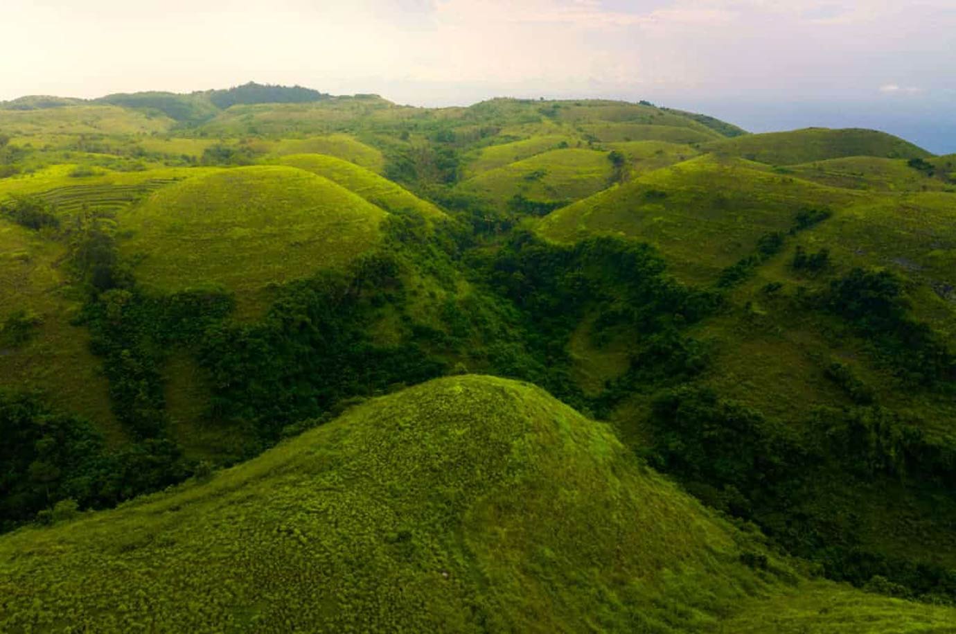 Landscape of Bukit Teletubbies in Nusa Penida