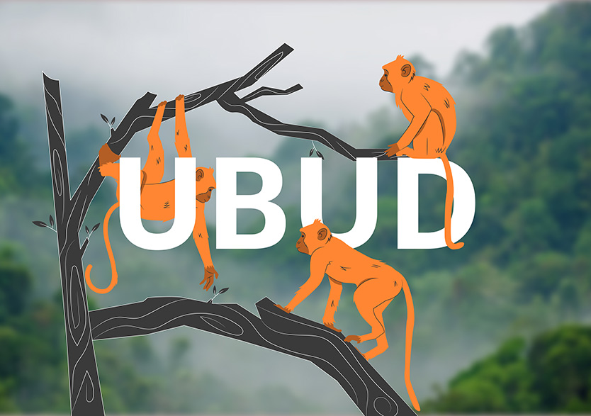 Monkeys from the forest in Ubud