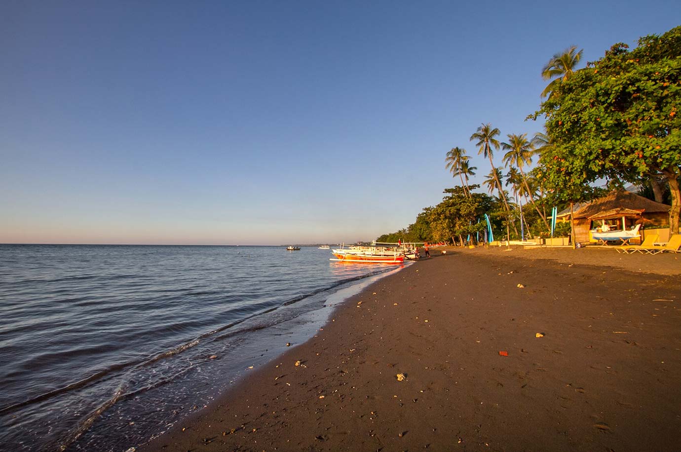 Raw of boats on Lovina Beach
