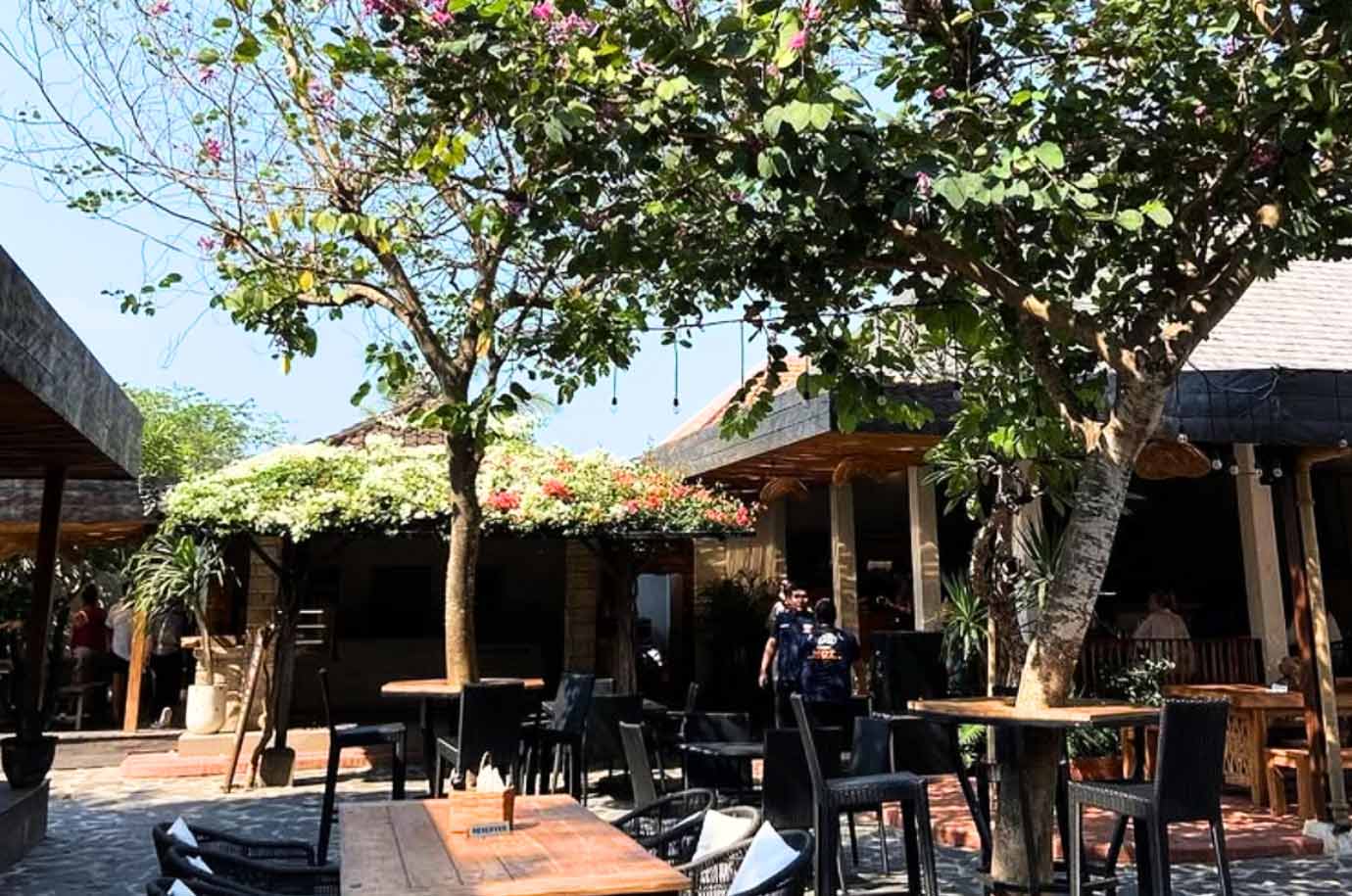 Interior of The Cashew Tree Collective cafe