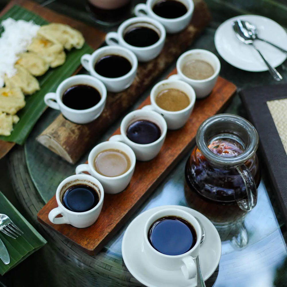 Tasting different types of Balinese Coffee