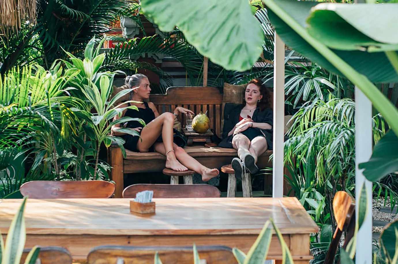 The visitors of The Shady Shack cafe