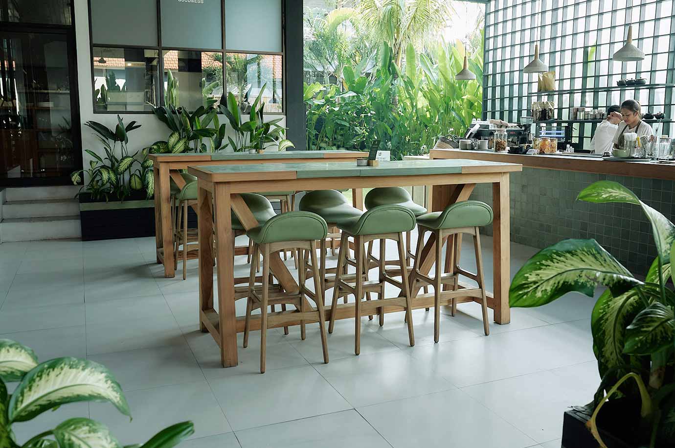 Stylish green interior with the plants in The Avocado Factory