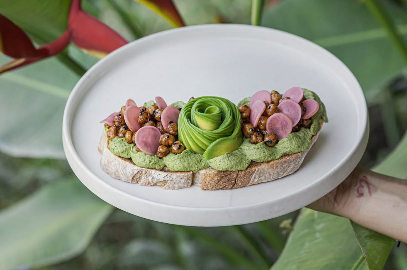 The Avocado Factory - delicious avocado breakfast