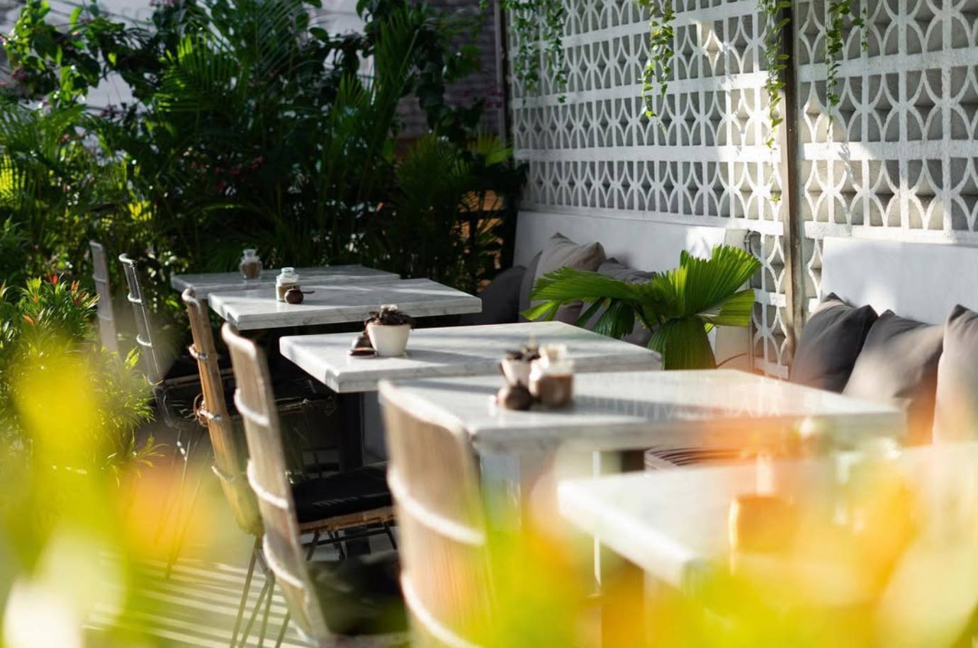 Coffee Cartel - white décor and furniture surrounded with plants