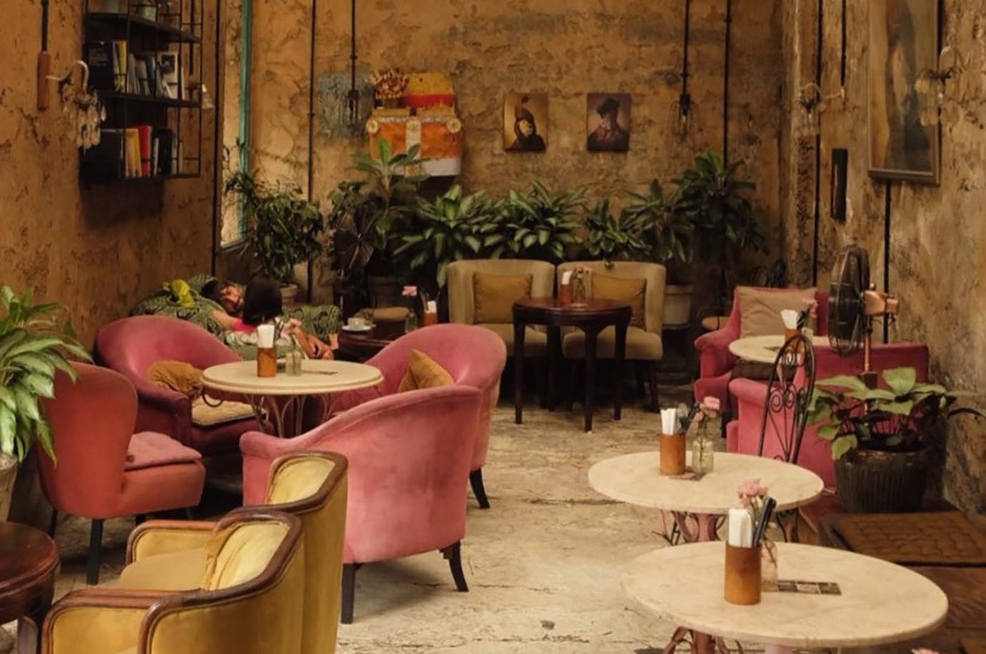Cozy atmosphere of Lazy Cats cafe
