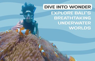 Preview of the Diving Spots in Bali