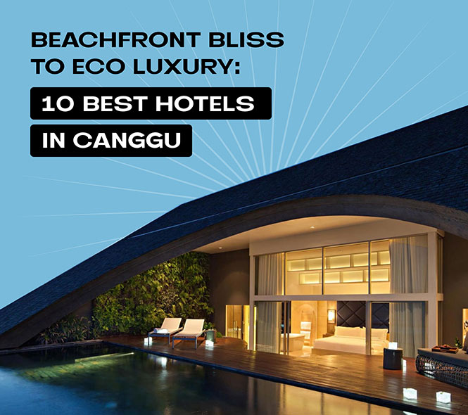 One of the best Hostels in Canggu