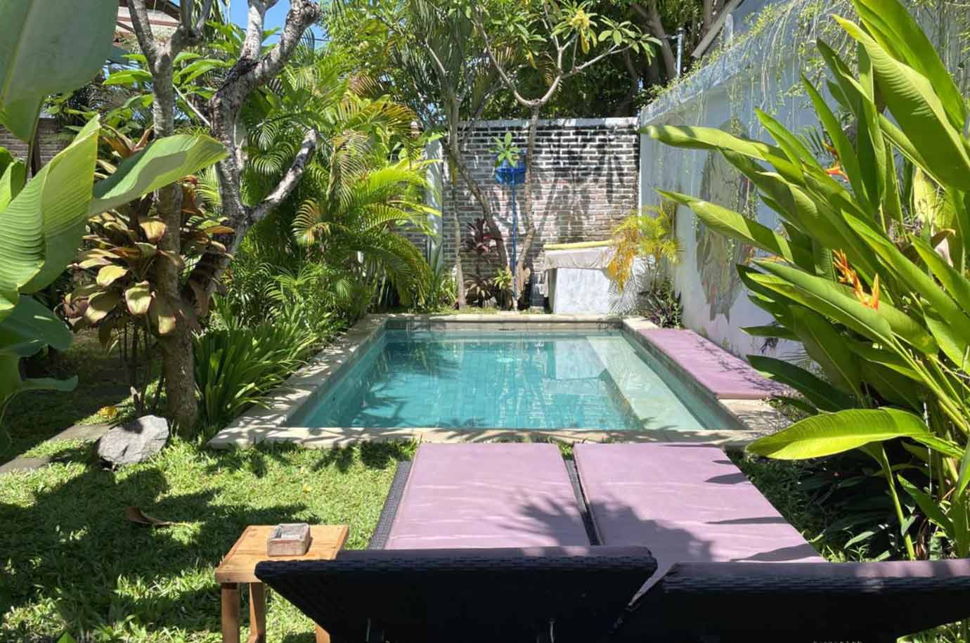 Tropic garden and swmming pool in The Jungle House