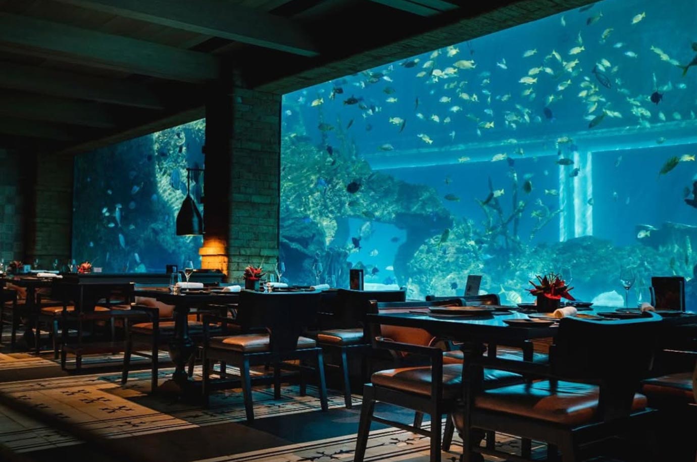 Interior with aquariums in the Koral Restaurant