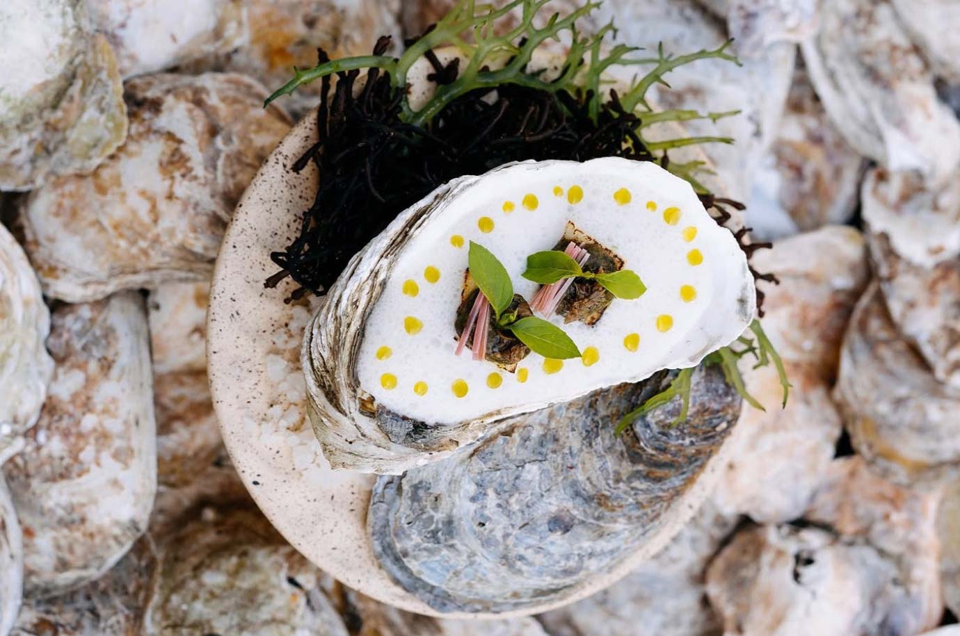 Delicious seafood from Syrco BASÈ restaurant