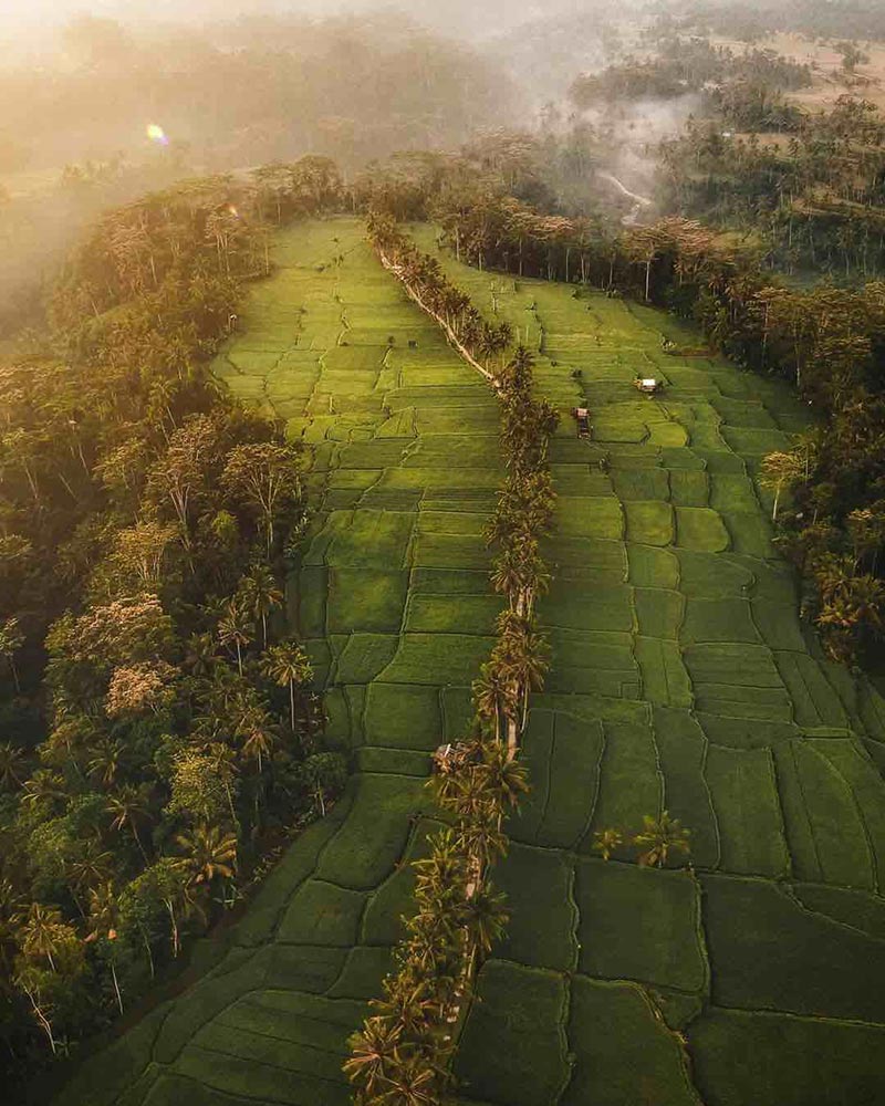 Top view of Mancingan Rice Terrace