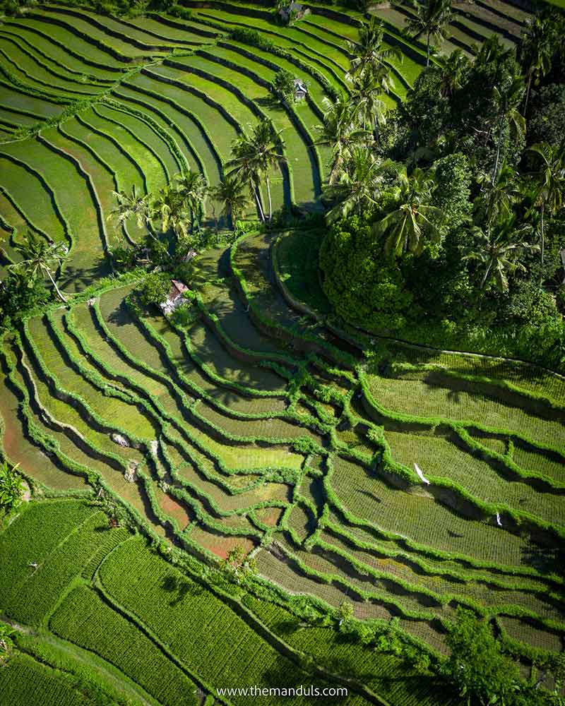 Top view of the Sidemen Rice Terraces