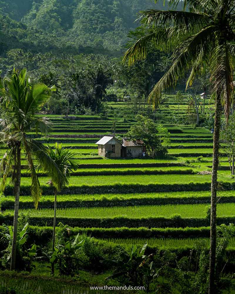 Flat part of the Sidemen Rice field