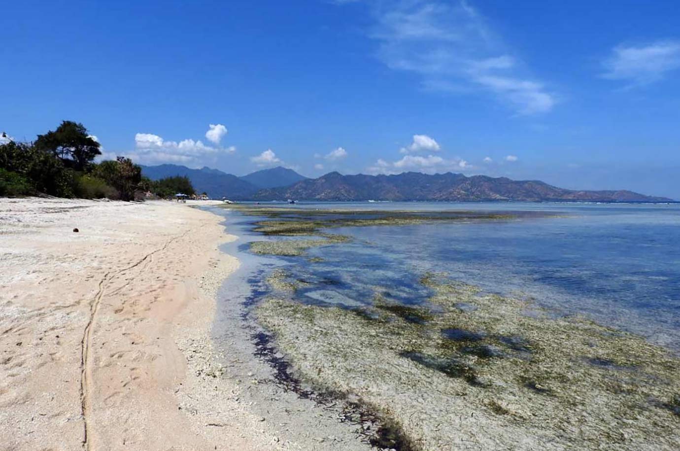 Landscape of Mango Bay Beach
