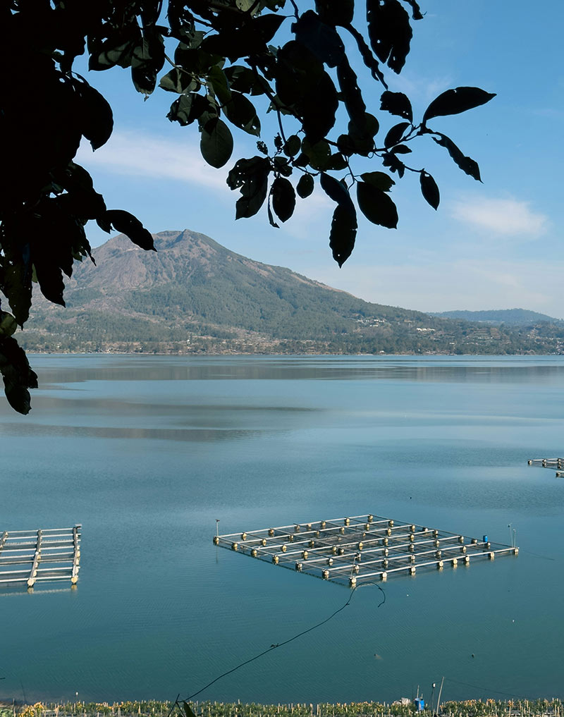 Lake Batur shore with mountain view