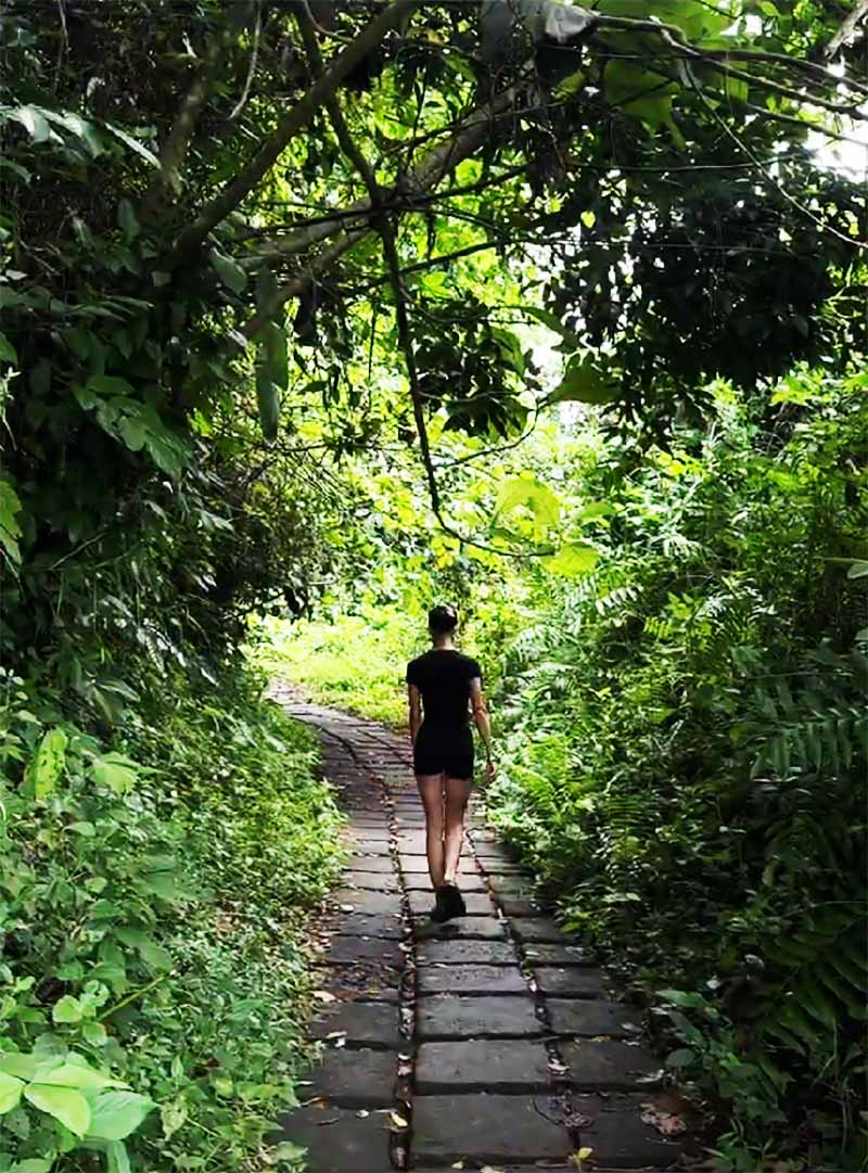Campuhan Ridge Walk walking