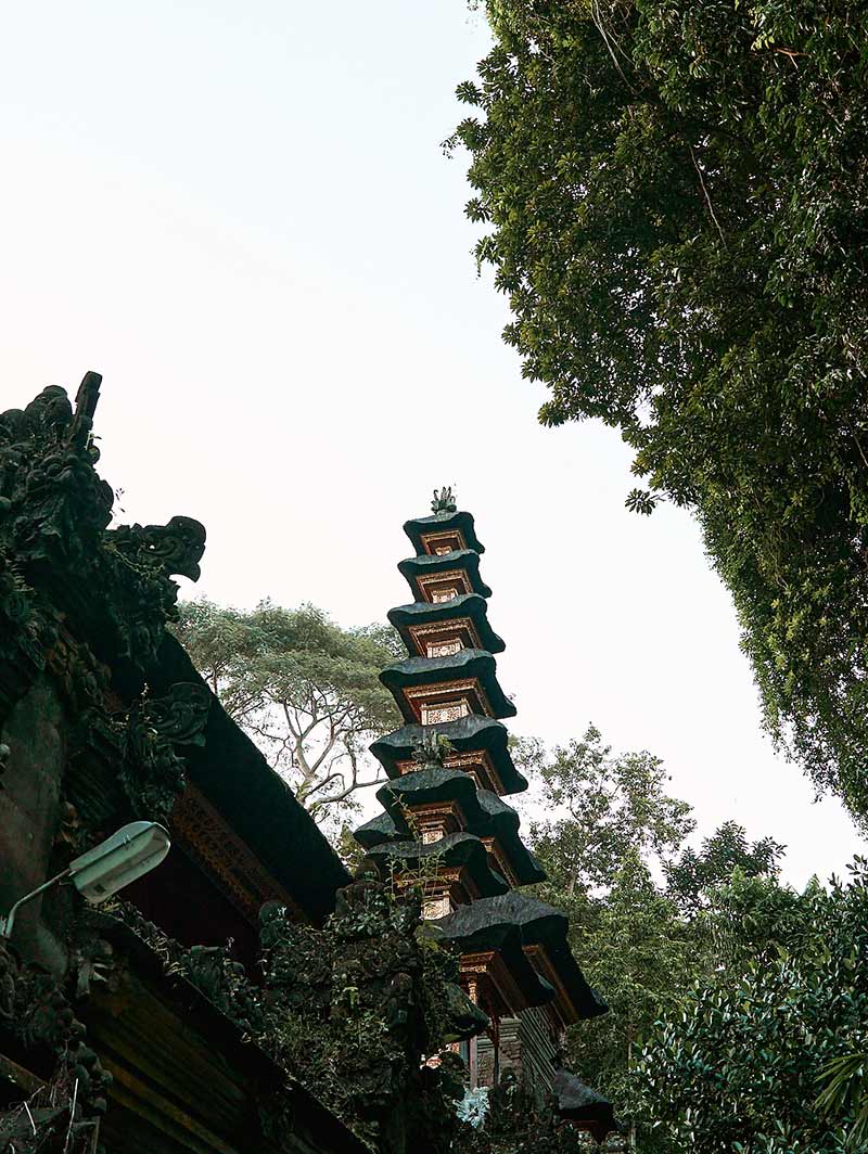 Campuhan Ridge Walk along the temple in Ubud