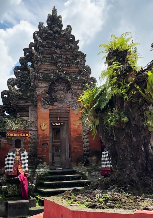 Puri Agung Temple in Ubud and its area