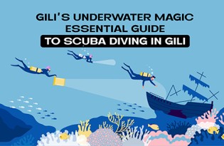 Preview of the Scuba diving in Gili Islands