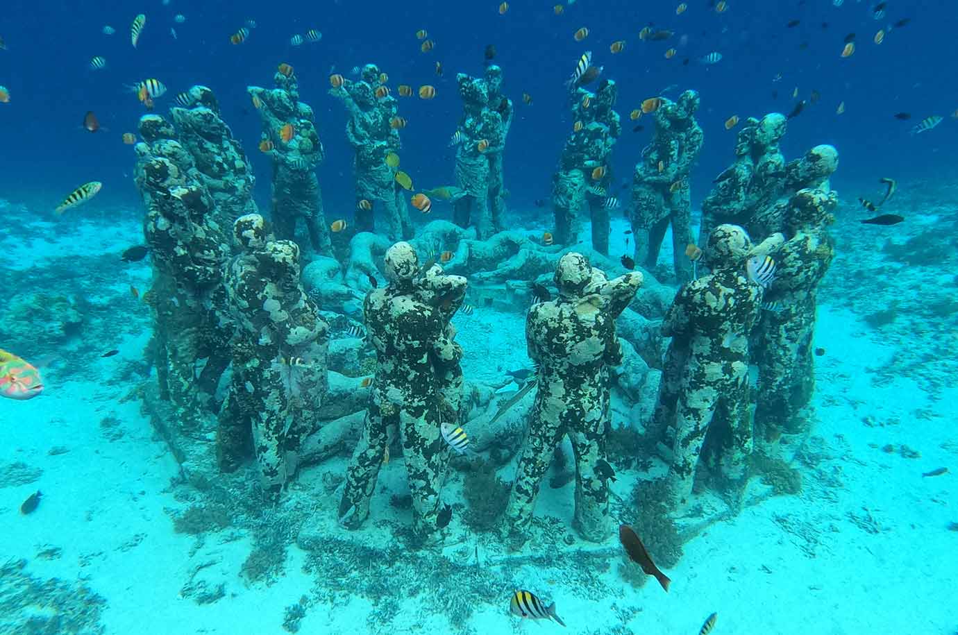 Nest Underwater Statues - snorkeling spot