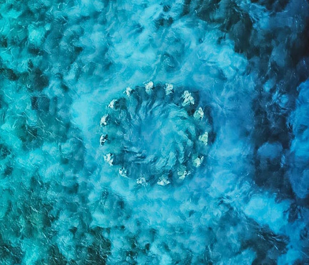 Nest Underwater Statues - view from the air