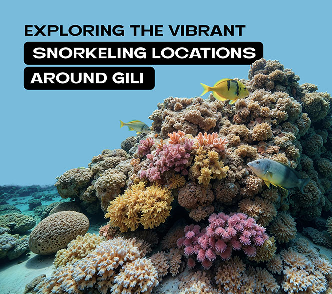 Underwater life at Snorkeling Spot in Gili Islands