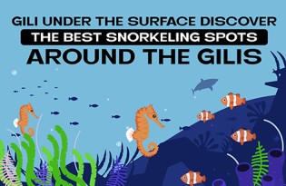 Preview of Snorkeling Spots in the Gili Islands