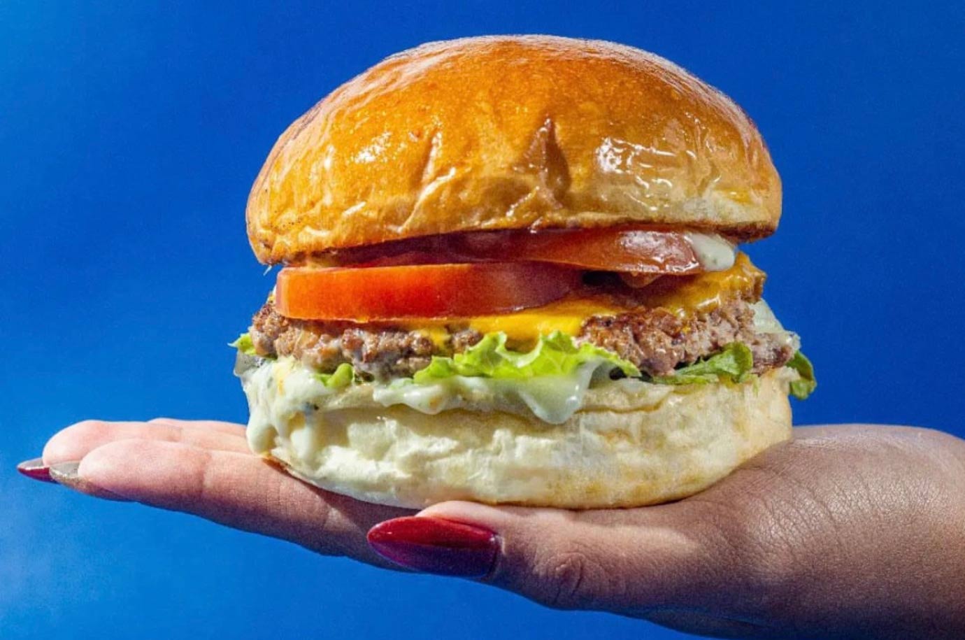 Burger from Daily Fat Burger