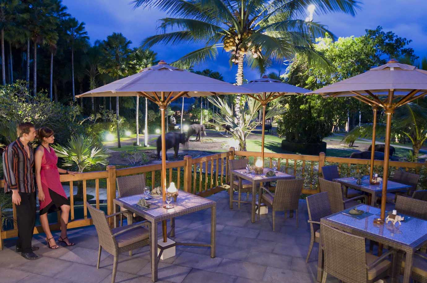 Restaurant at Mason Elephant Lodge