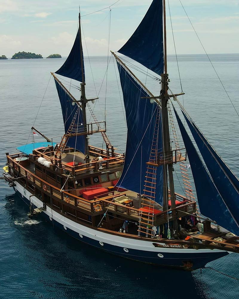 Big blue sails ship from Sea Safari Cruises