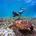 Square preview of Blue Lagoon Snorkeling Tour