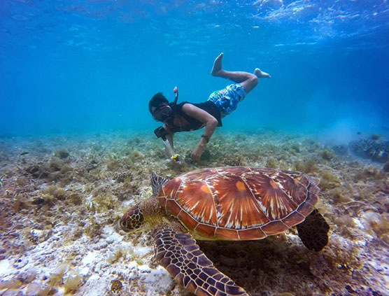 Preview of Blue Lagoon Snorkeling Tour