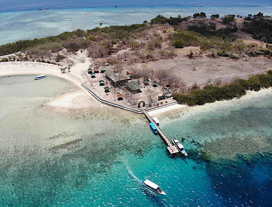 Preview of Menjangan Island Tour