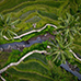 Square preview of Ubud Day Tour