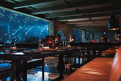 Preview of the Best Restaurants in Bali