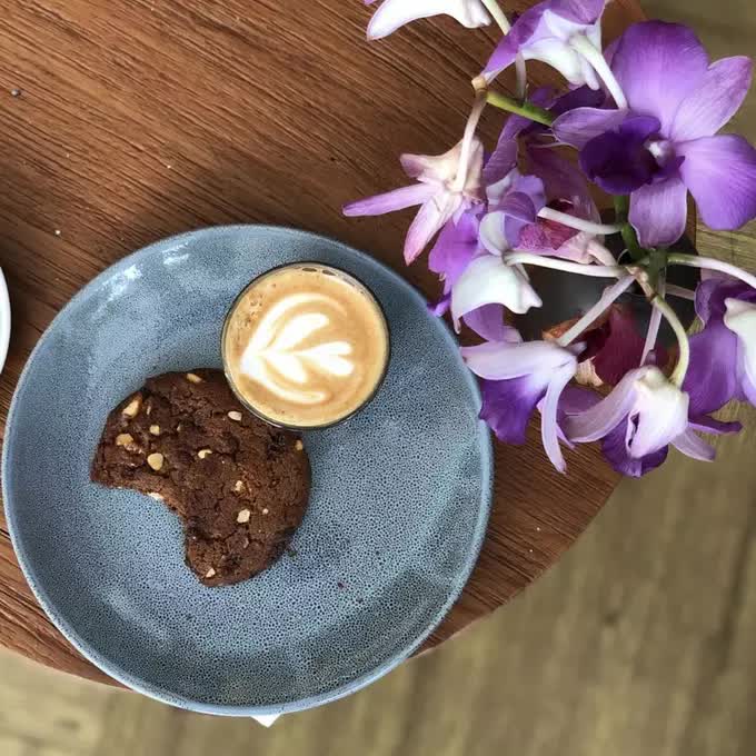 Elephant in the Room - coffee and cookie on the plate