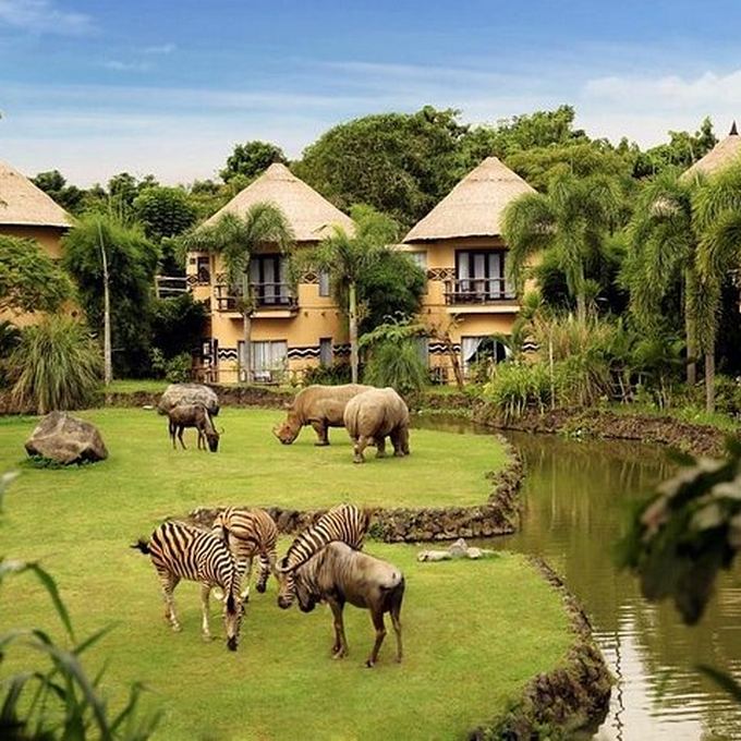 Mara River Safari Lodging Hotel - garden