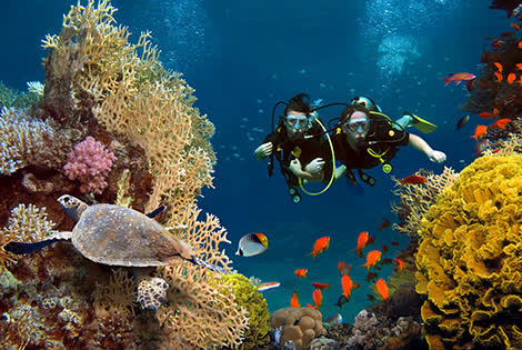Preview of the Best Diving Spots in Bali
